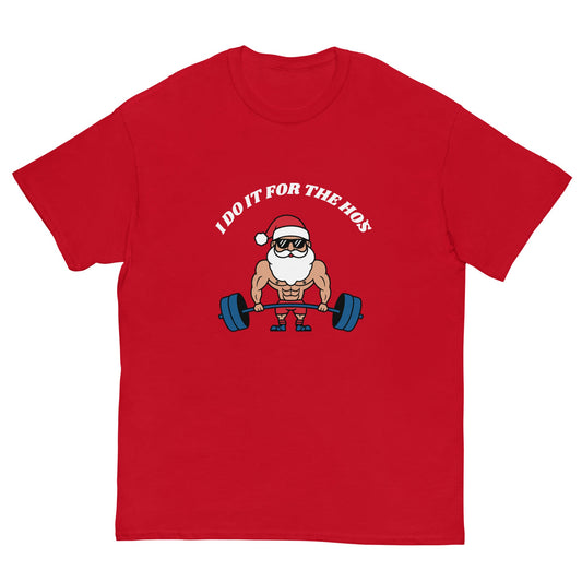 I Do It for the Hos – Funny Christmas Gym T-Shirt Ireland - FunPrint4You